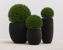 Load image into Gallery viewer, Coleus Planter - Small - Round