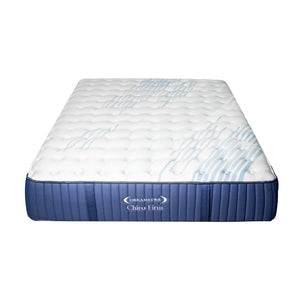 DreamStar Chiro Firm Mattress